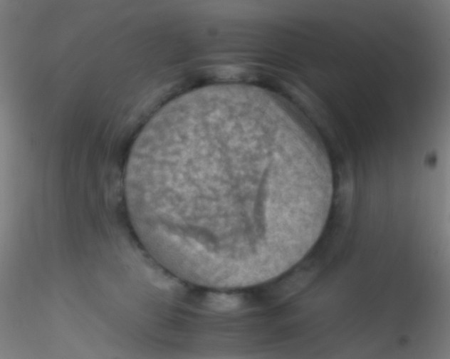 X0000115190469200911251424