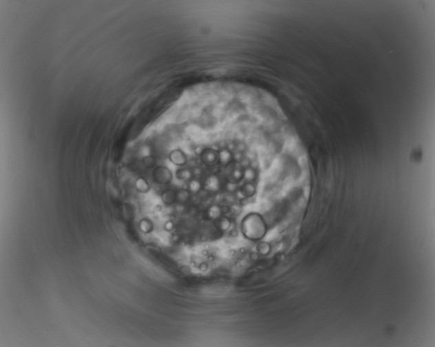 X0000115190470200911251424