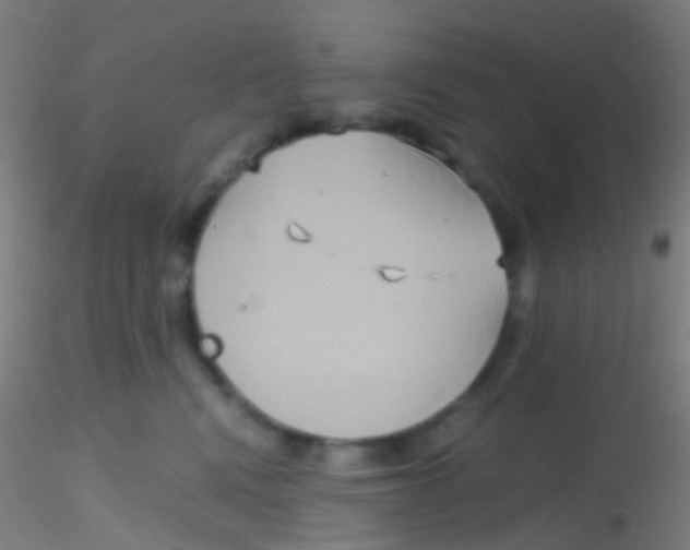 X0000115190472200911251424