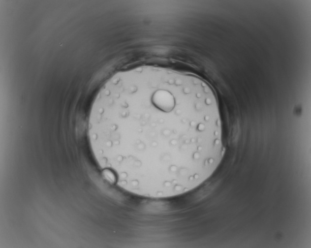 X0000115190476200911251424