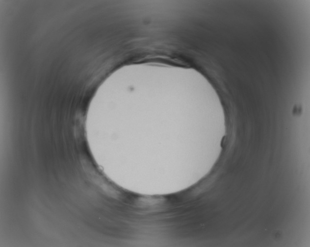 X0000115190480200911251424