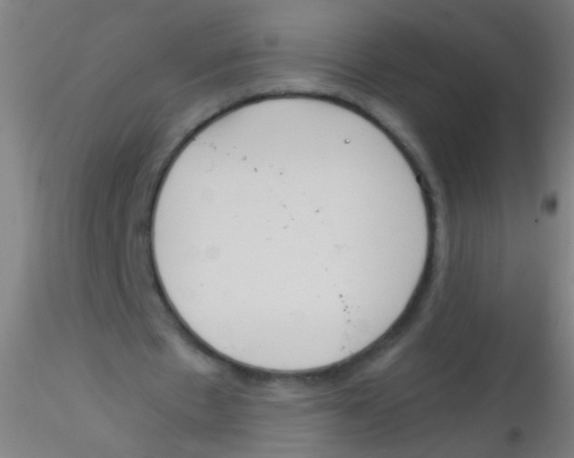 X0000115190481200911251423