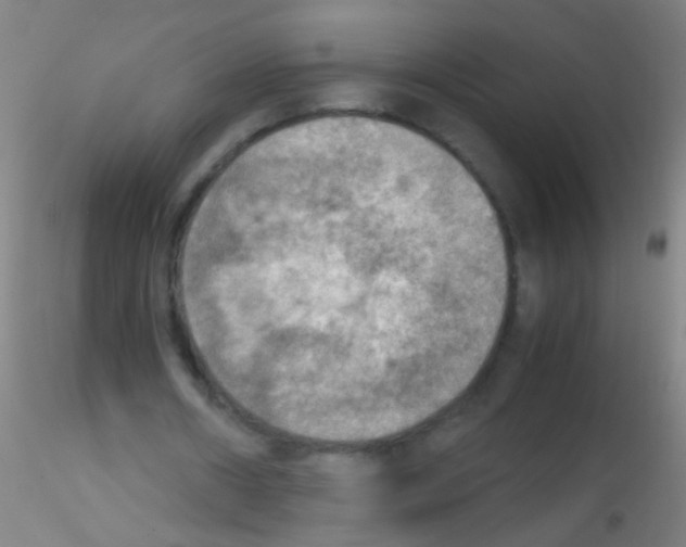 X0000115190482200911251423