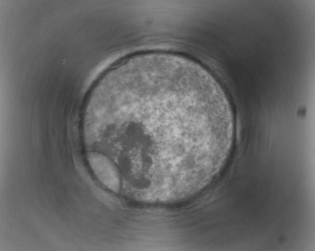 X0000115190483200911251423