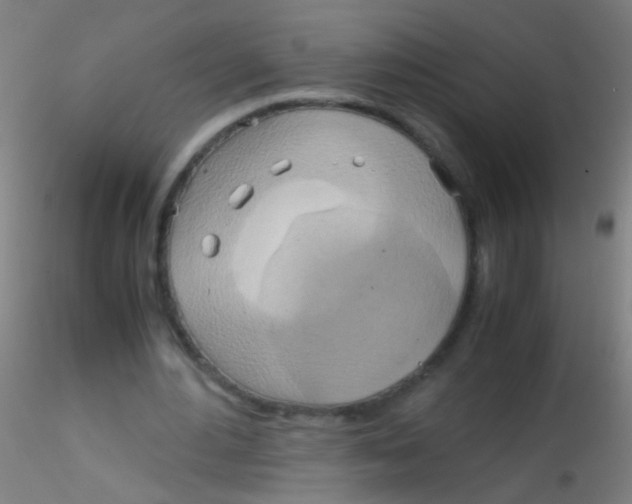 X0000115190484200911251423