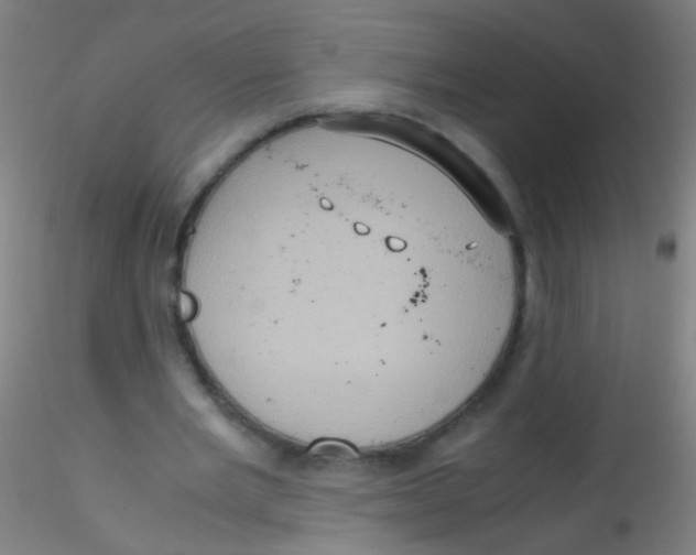 X0000115190485200911251423