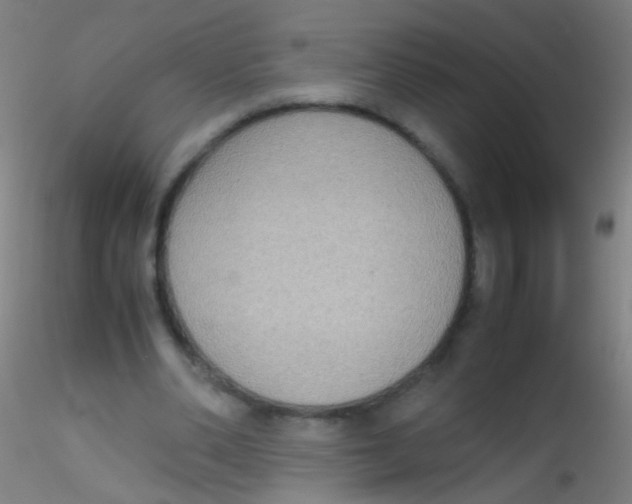 X0000115190486200911251423