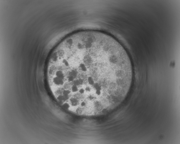 X0000115190487200911251423