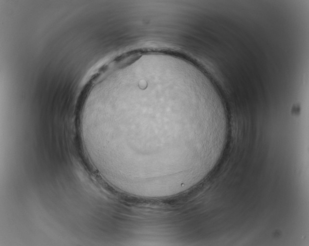 X0000115190488200911251423