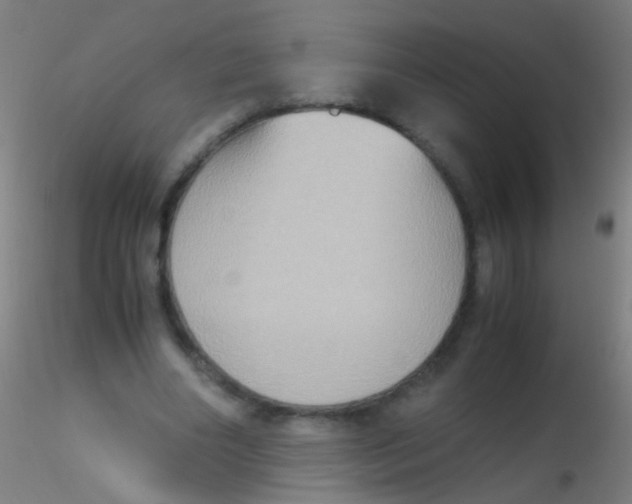 X0000115190490200911251423