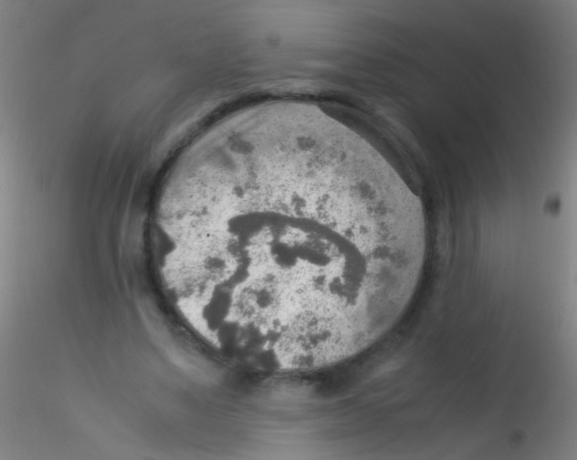 X0000115190491200911251423