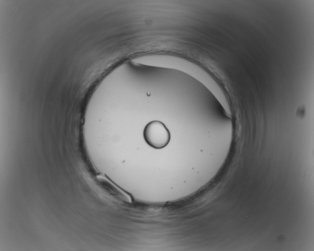 X0000115190493200911251423