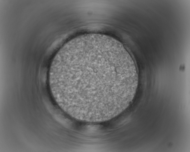 X0000115190495200911251423