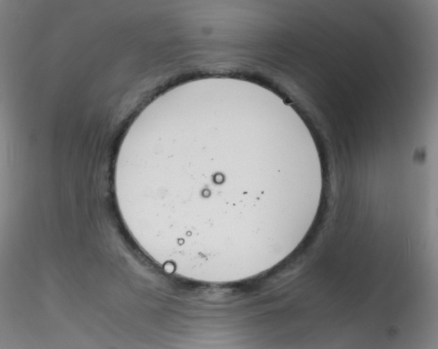 X0000115190497200911251423