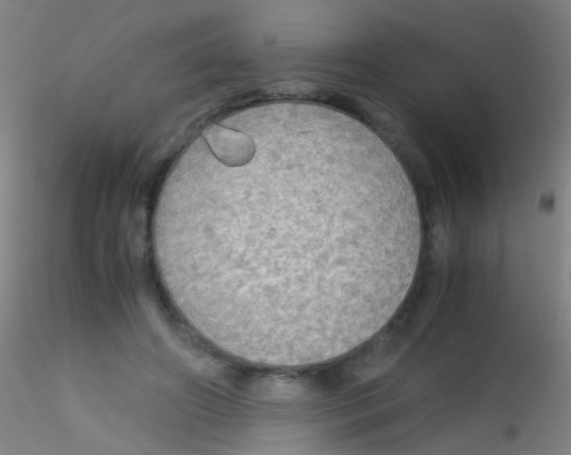 X0000115190498200911251423