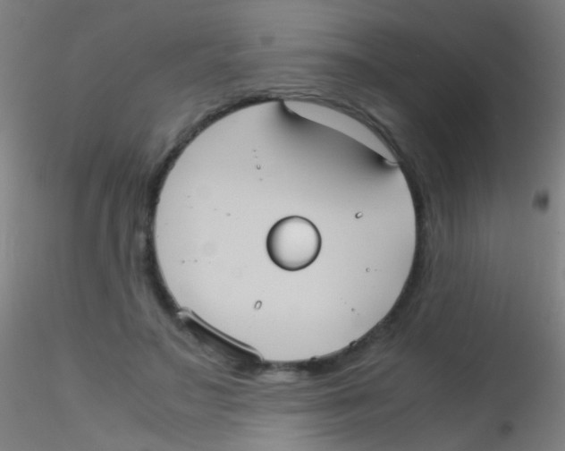 X0000115190499200911251423