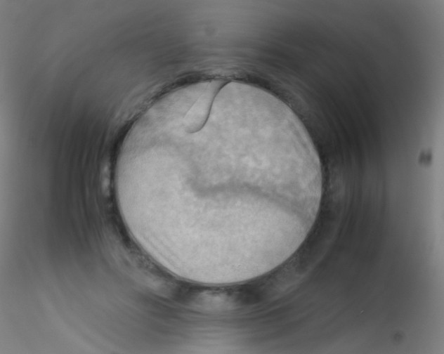 X0000115190502200911251423