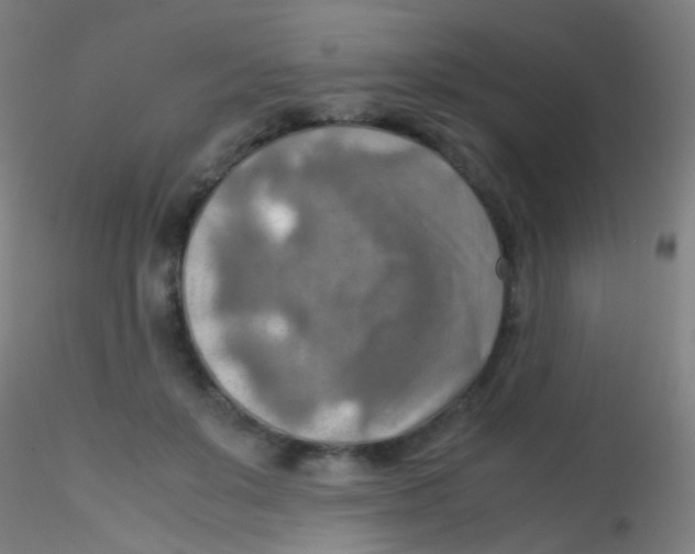 X0000115190503200911251423