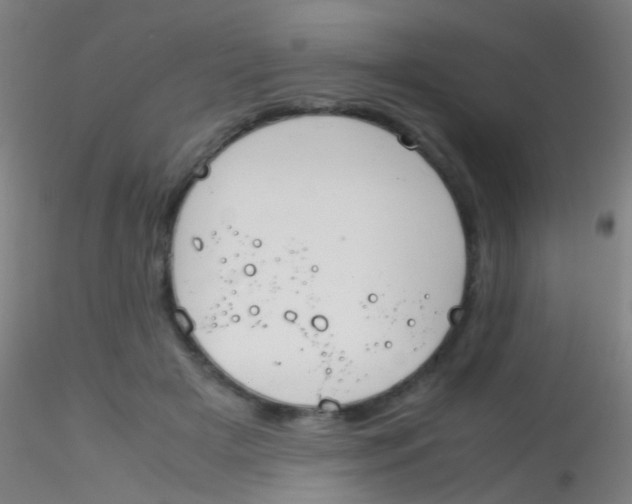 X0000115190505200911251423