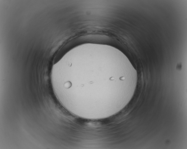 X0000115190508200911251423