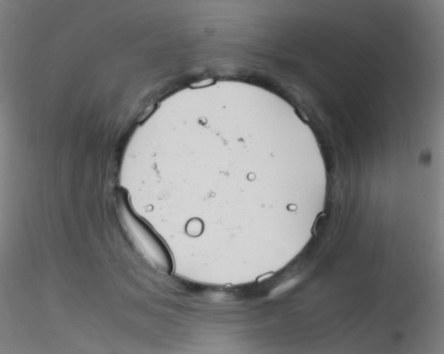 X0000115190509200911251423