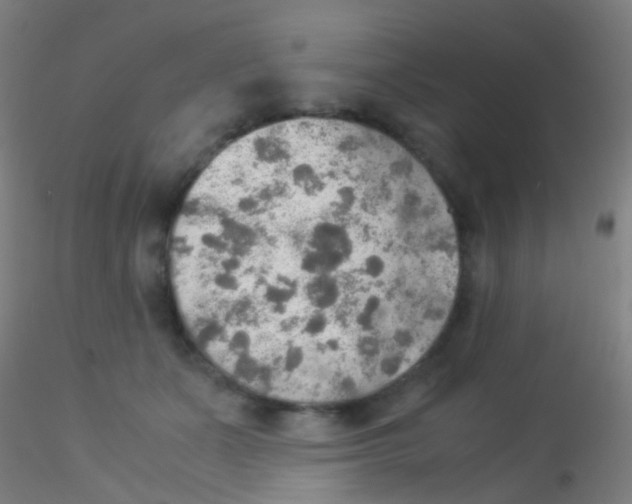 X0000115190511200911251423