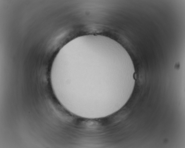 X0000115190512200911251423