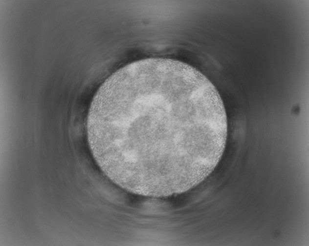 X0000115190515200911251423