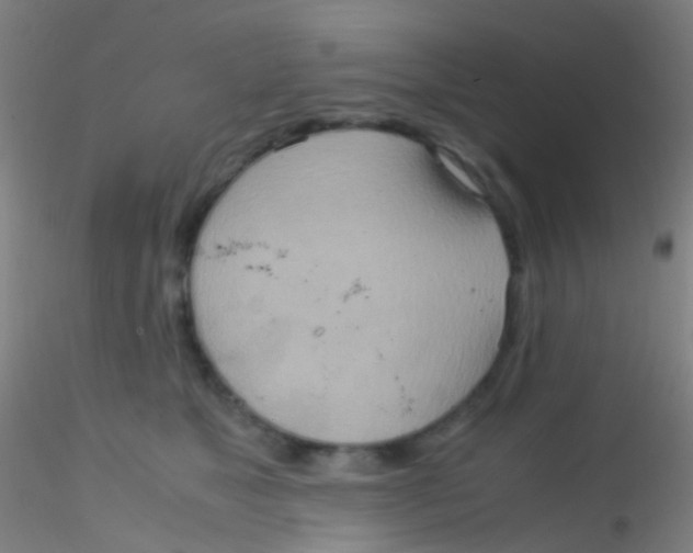 X0000115190517200911251423