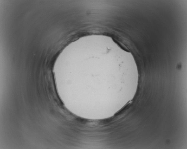 X0000115190521200911251422