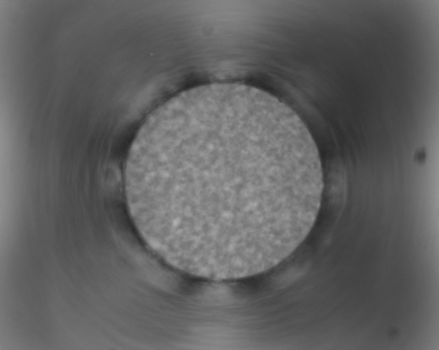 X0000115190523200911251422