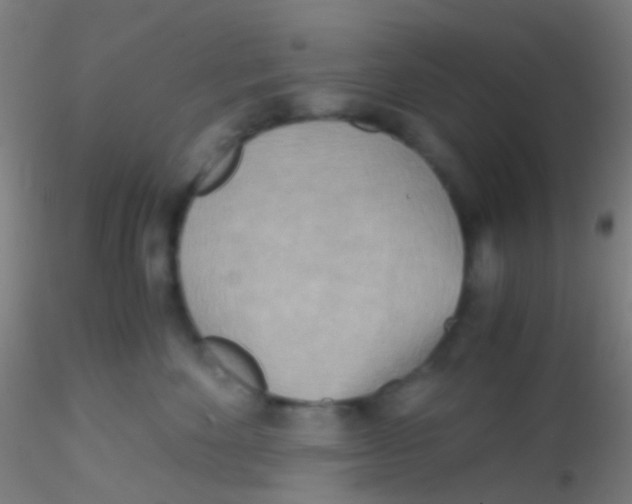 X0000115190524200911251422