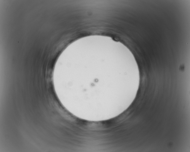 X0000115190525200911251422