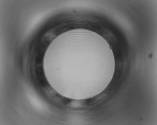 X0000115190526200911251422