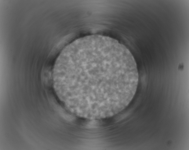 X0000115190527200911251422