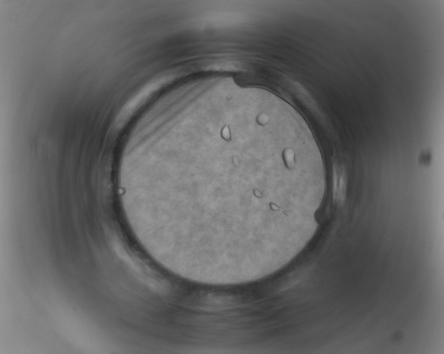 X0000115190531200911251422