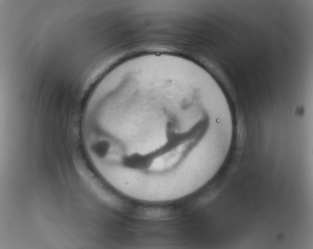 X0000115190533200911251422