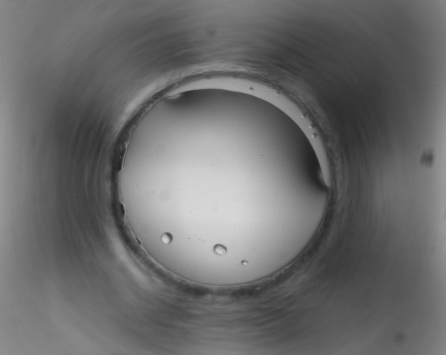 X0000115190534200911251422