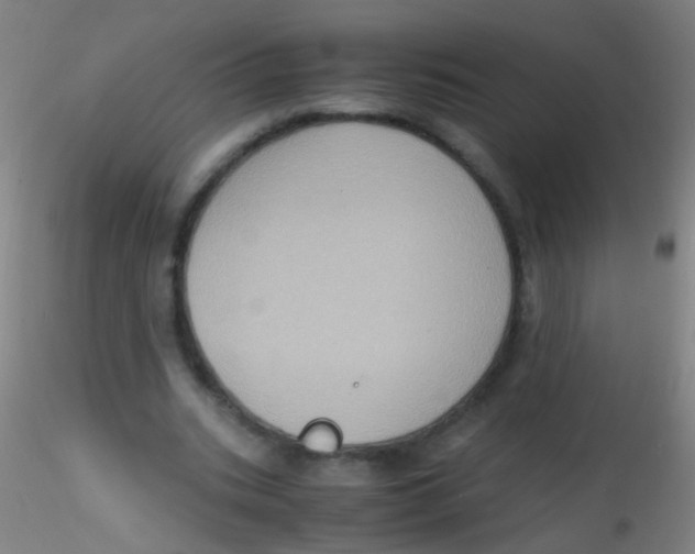 X0000115190535200911251422