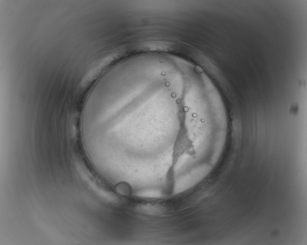 X0000115190537200911251422