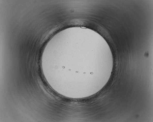 X0000115190538200911251422