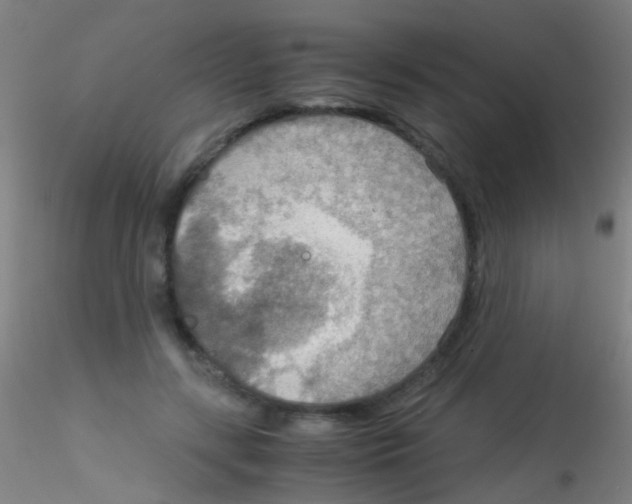 X0000115190547200911251422