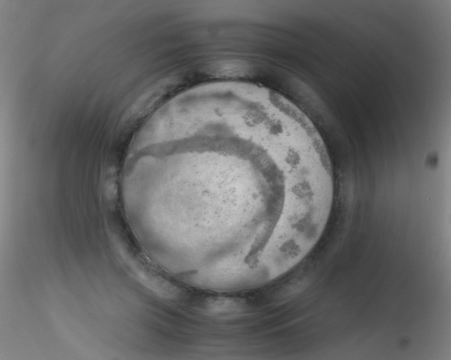 X0000115190549200911251422