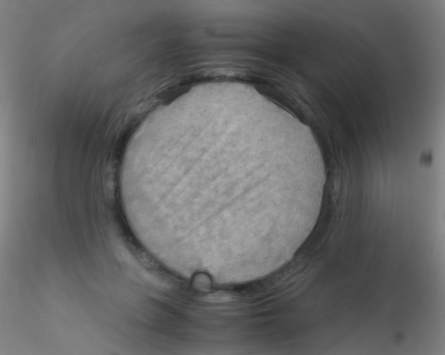 X0000115190551200911251422