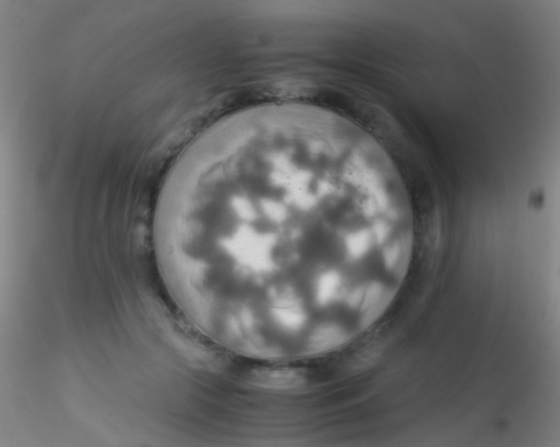 X0000115190553200911251422