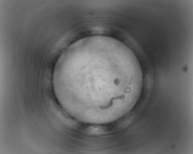 X0000115190557200911251422