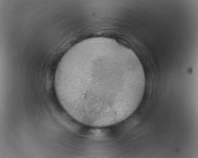 X0000115190558200911251422