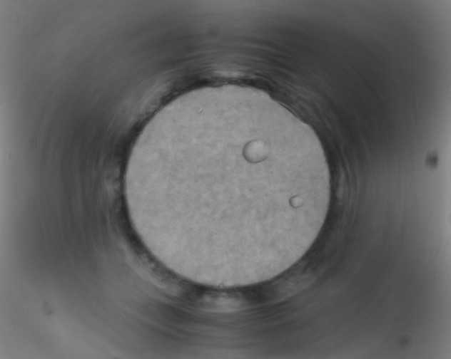 X0000115190559200911251422