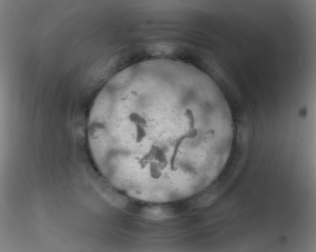 X0000115190561200911251422