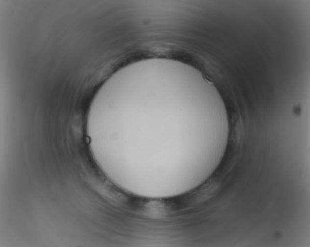 X0000115190562200911251422